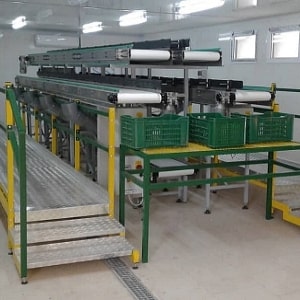 nastro insalata 3 min